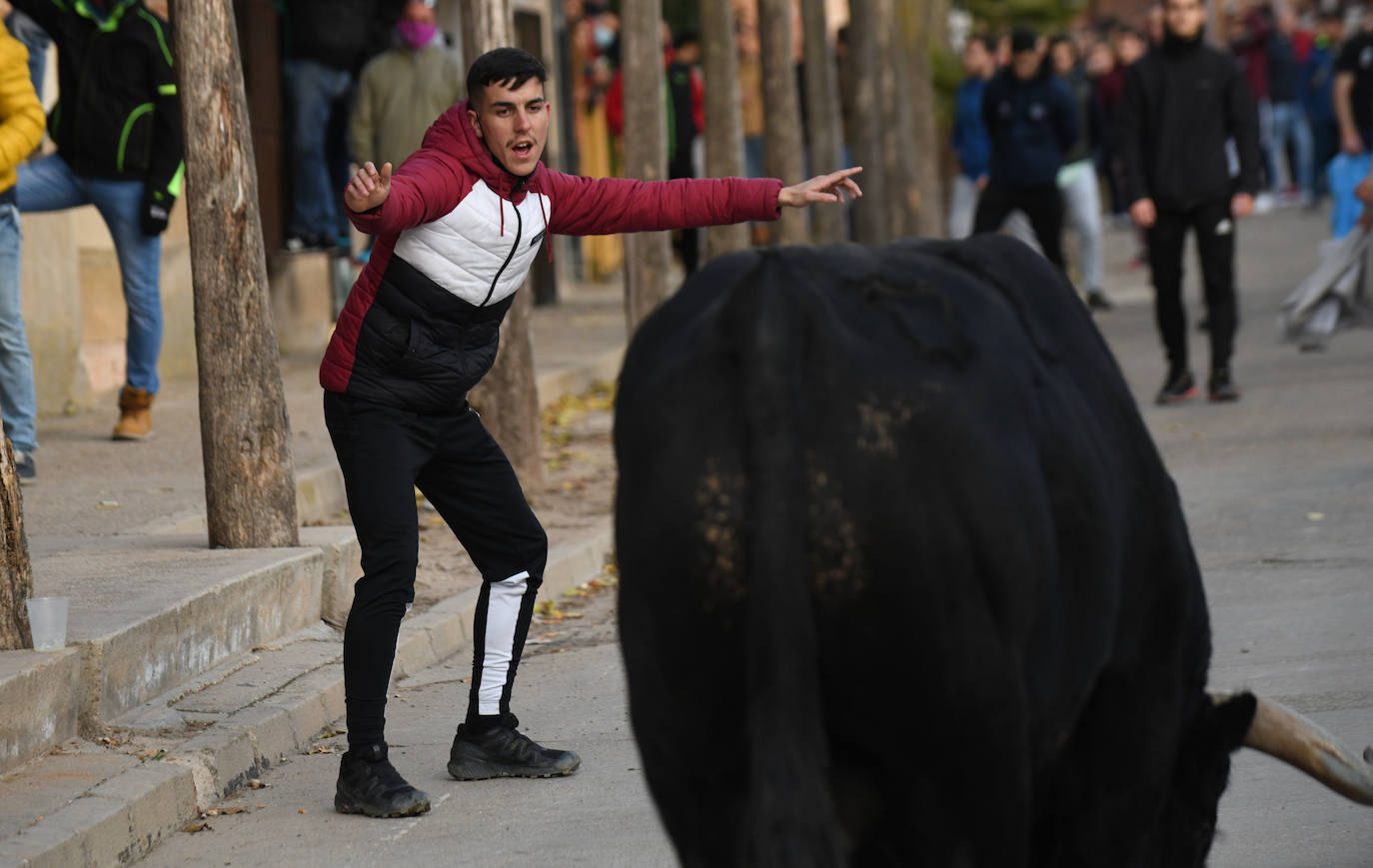 Fotos: Un toro causa el pánico en el encierro en Pollos