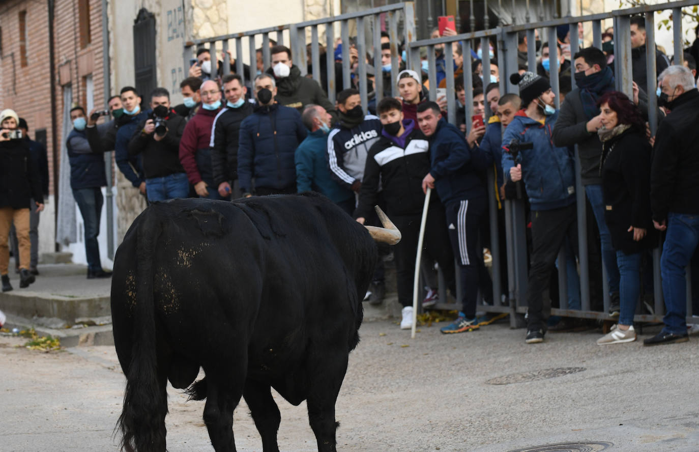 Fotos: Un toro causa el pánico en el encierro en Pollos