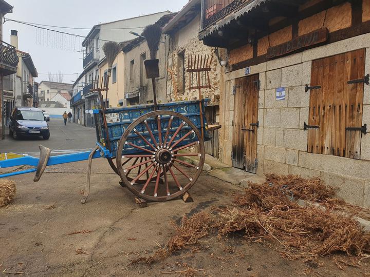 Los vecinos de El Maíllo celebraron la tradicional fiesta popular de la matanza