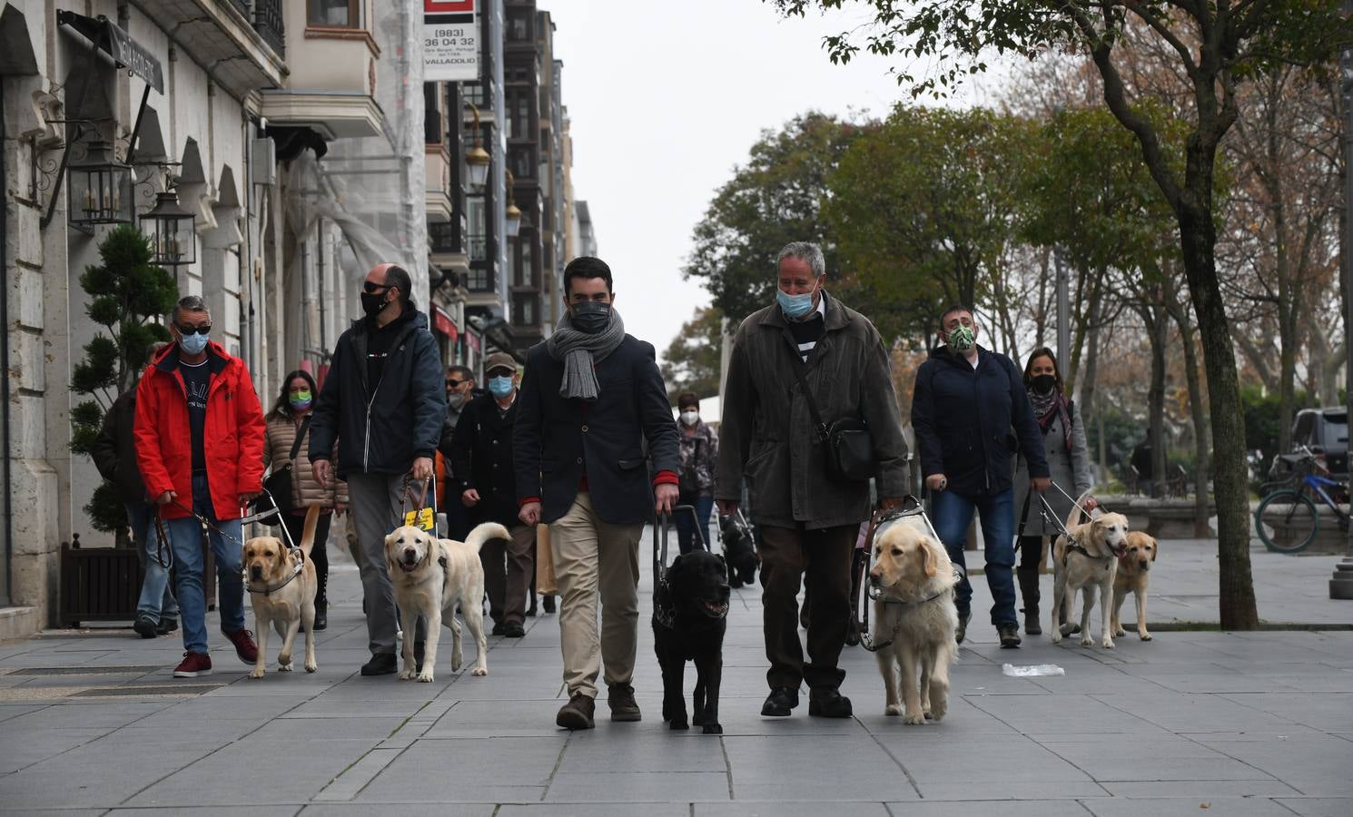 Fotos: Marcha en Valladolid para visibilizar la labor de los perros guía de la ONCE