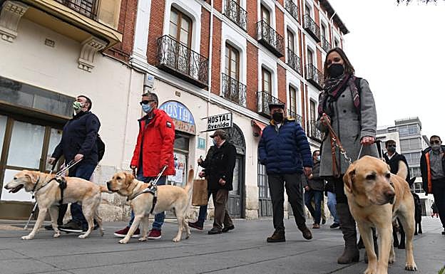 Marcha para visibilizar la labor de los perros guía,