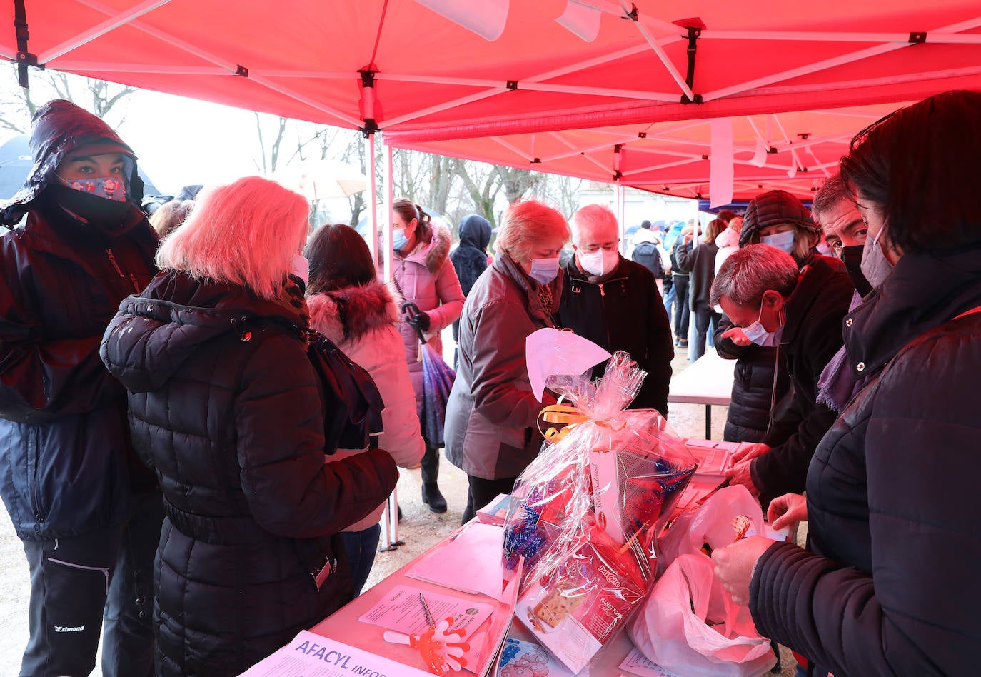 Fotos: Frío y solidario chapuzón por las asociaciones de personas con discapacidad