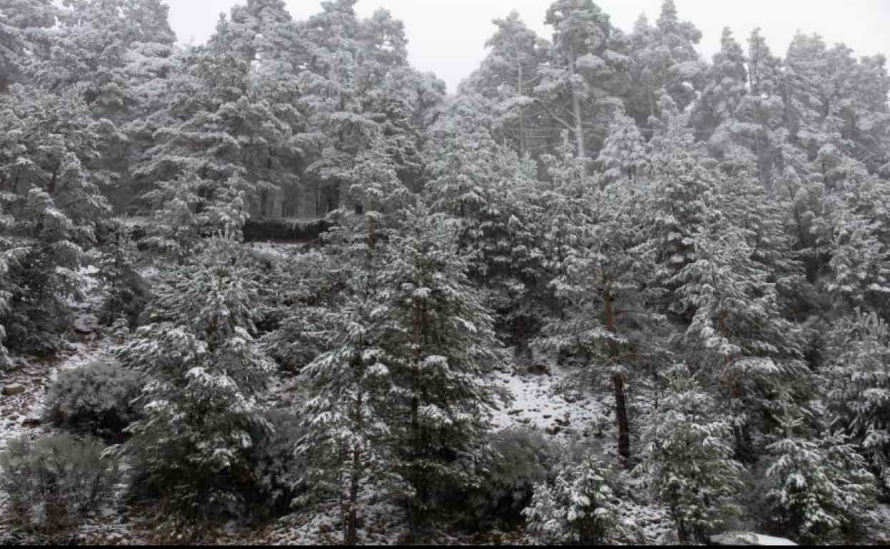 El invierno llega hoy a las 16:59 horas