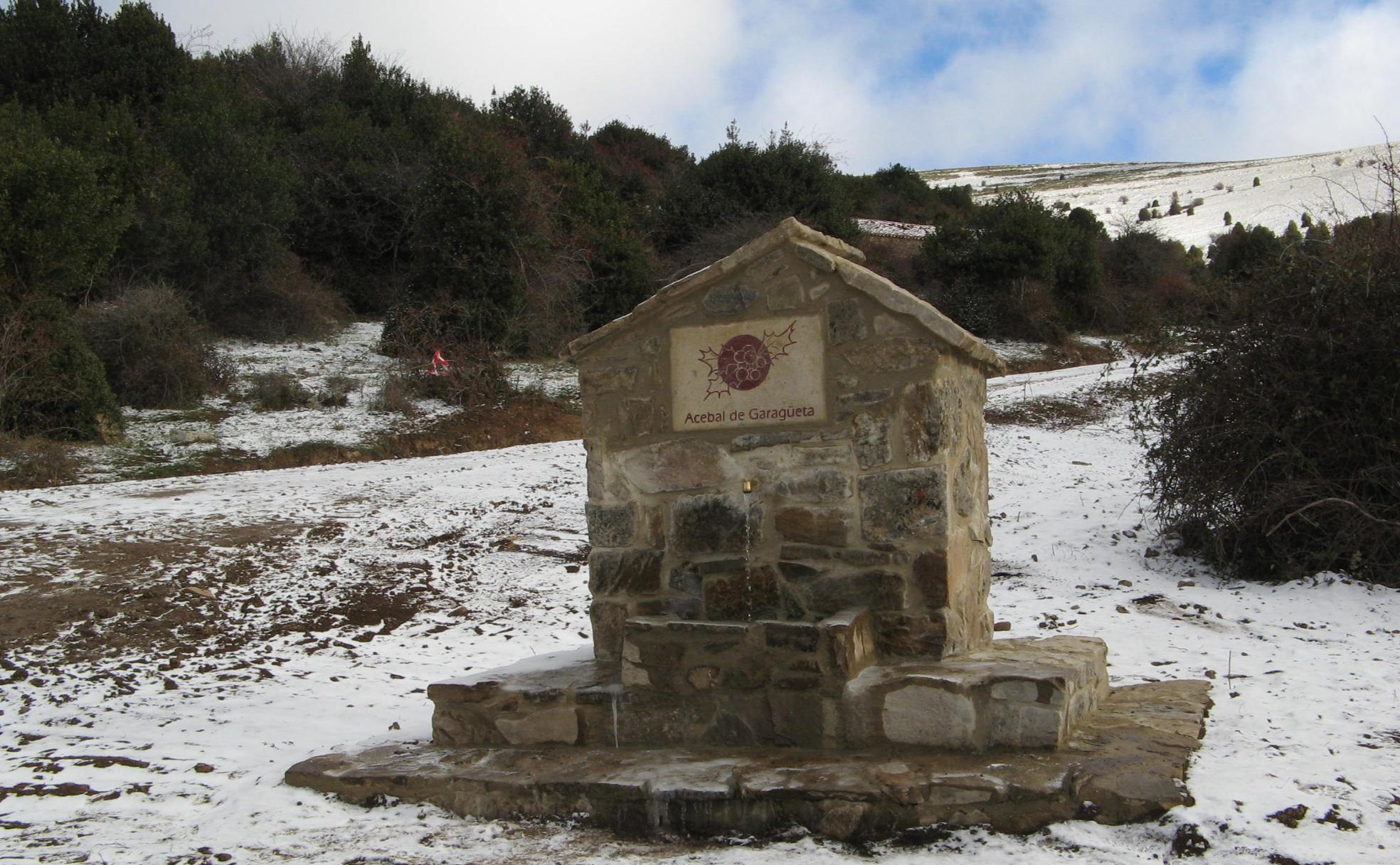 Acebal de Garagüeta. 