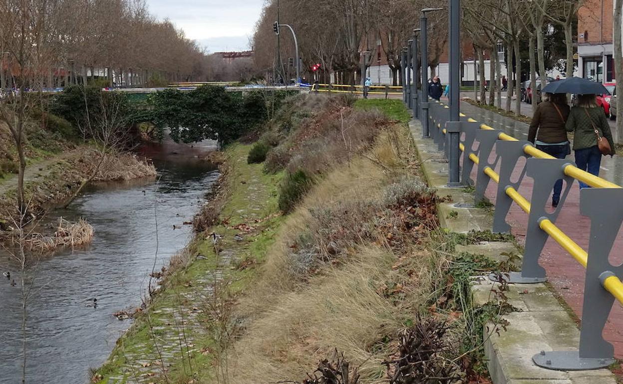 El Paseo del Cauce, en una zona cercana al lugar de la agresión. 