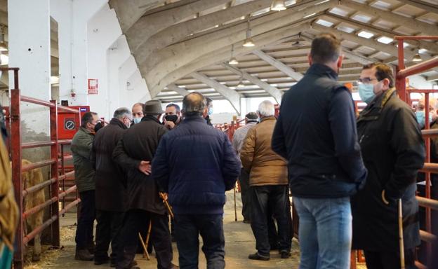 Imagen principal - Tratantes y ganaderos en el mercado de ganado de Salamanca.