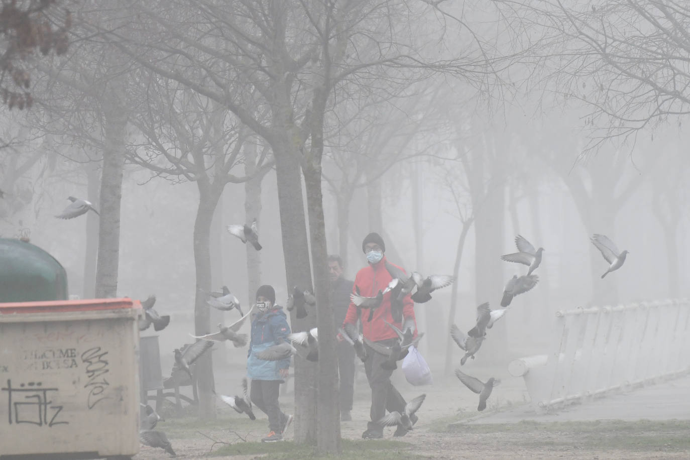 Fotos: La ciudad de Valladolid despede el año con niebla