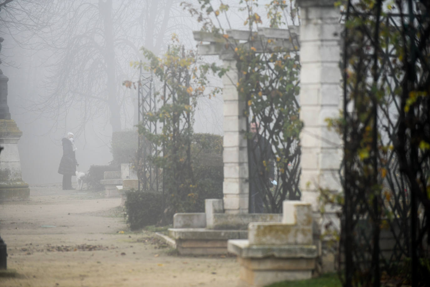 Fotos: La ciudad de Valladolid despede el año con niebla