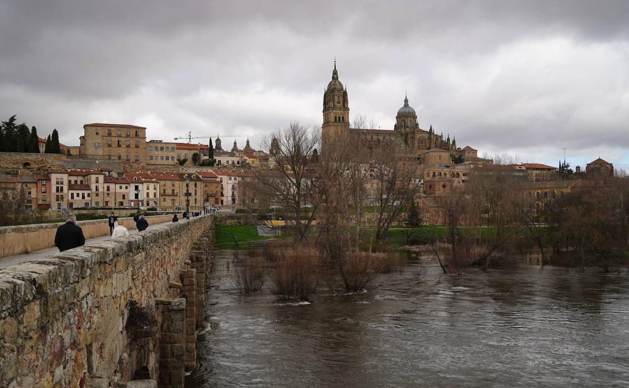 Una de las zonas de actuación del proyecto, la conexión con el río Tormes. 