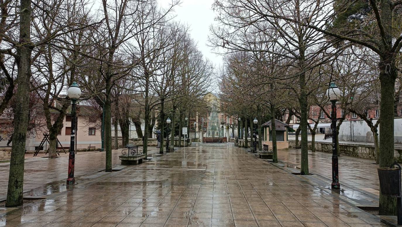 Árboles en los paseos de San Francisco, en Cuéllar. 