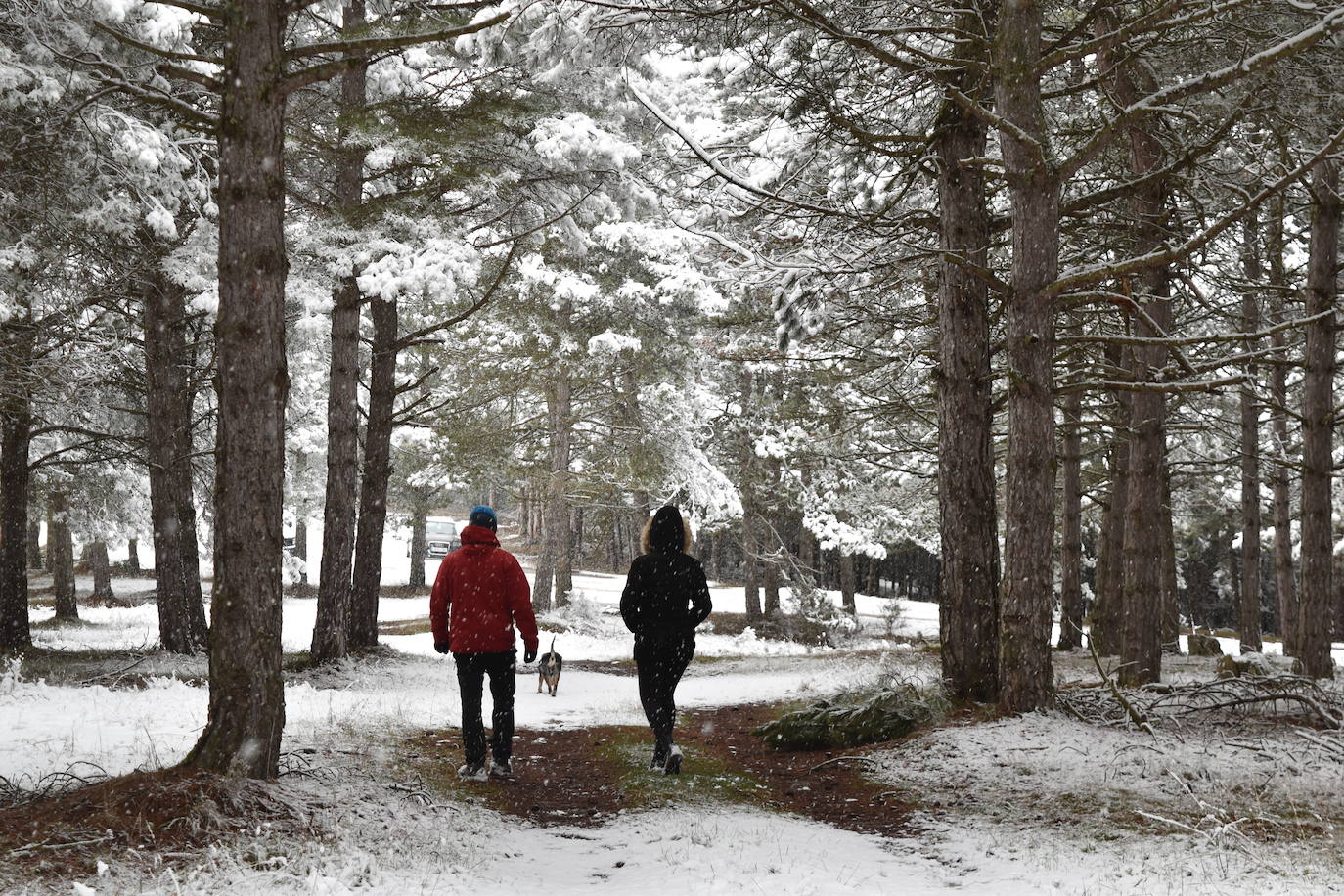 Fotos: Nevada en Aguilar de Campoo