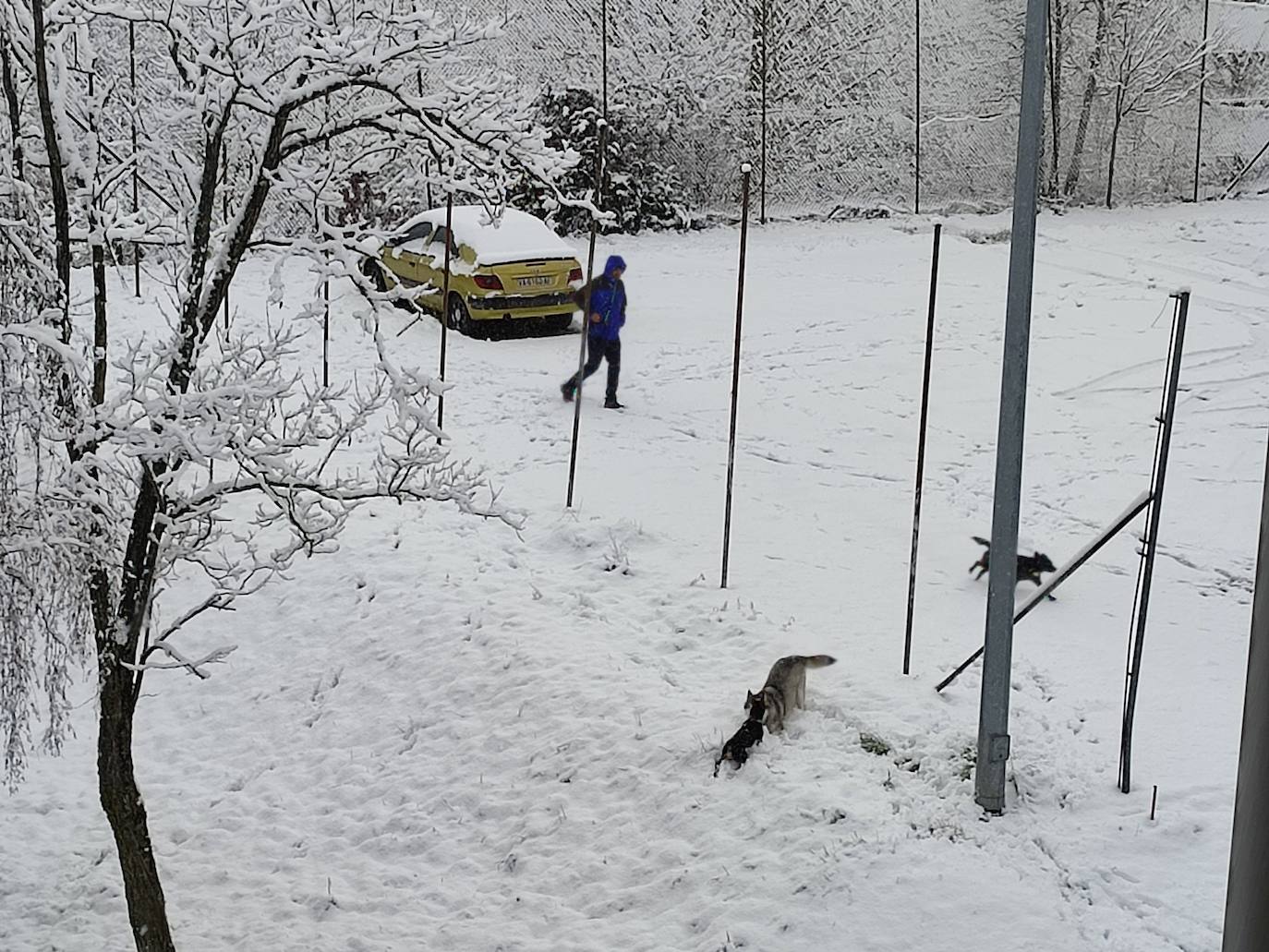 Fotos: Nevada en Guardo