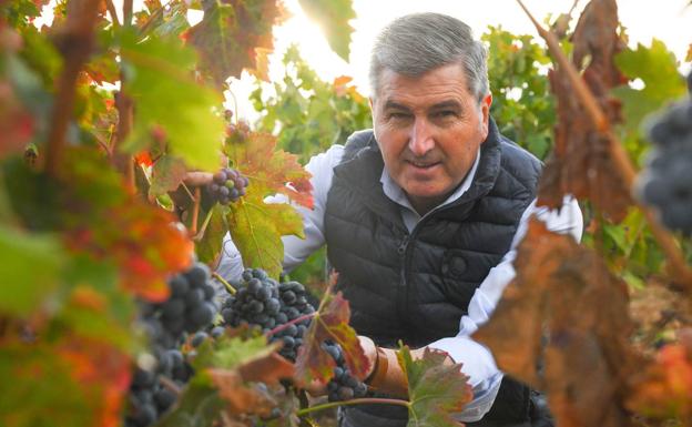 José Manuel Pérez Ovejas en sus viñedos de Roa de Duero.