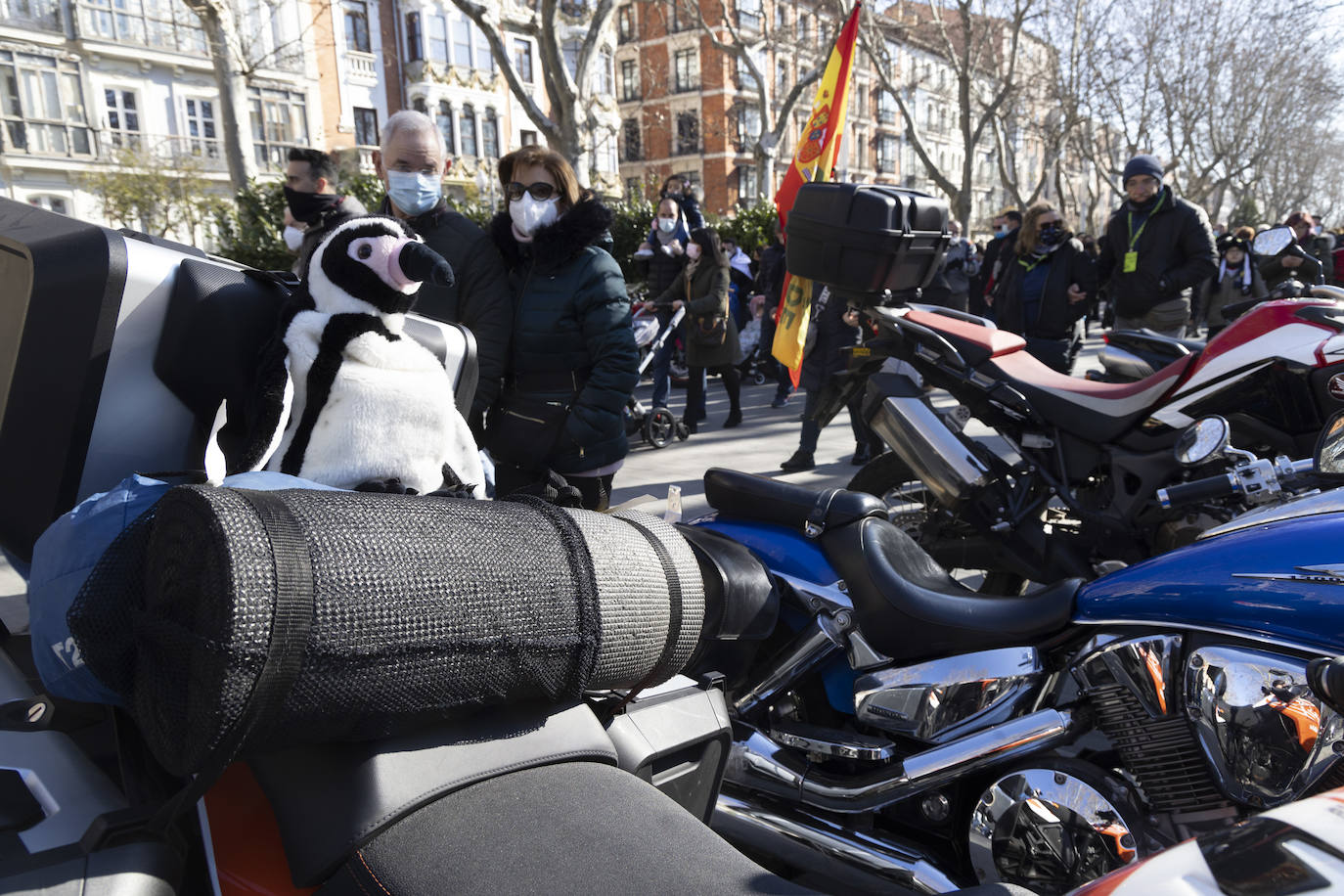 Fotos: Ambiente festivo en el desfile de banderas de Pingüinos