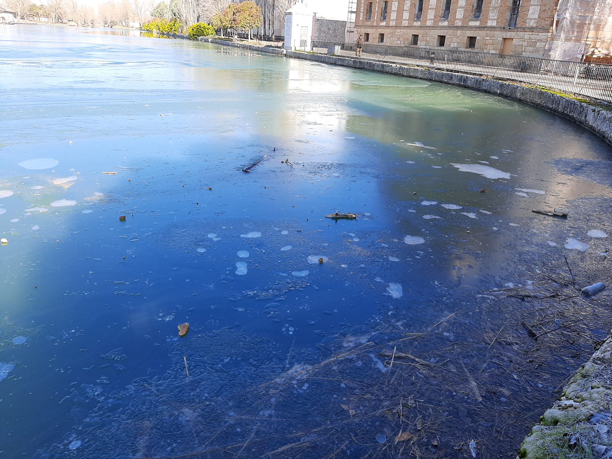 Fotos: La dársena del Canal de Castilla de Rioseco se hiela por primera vez en este invierno