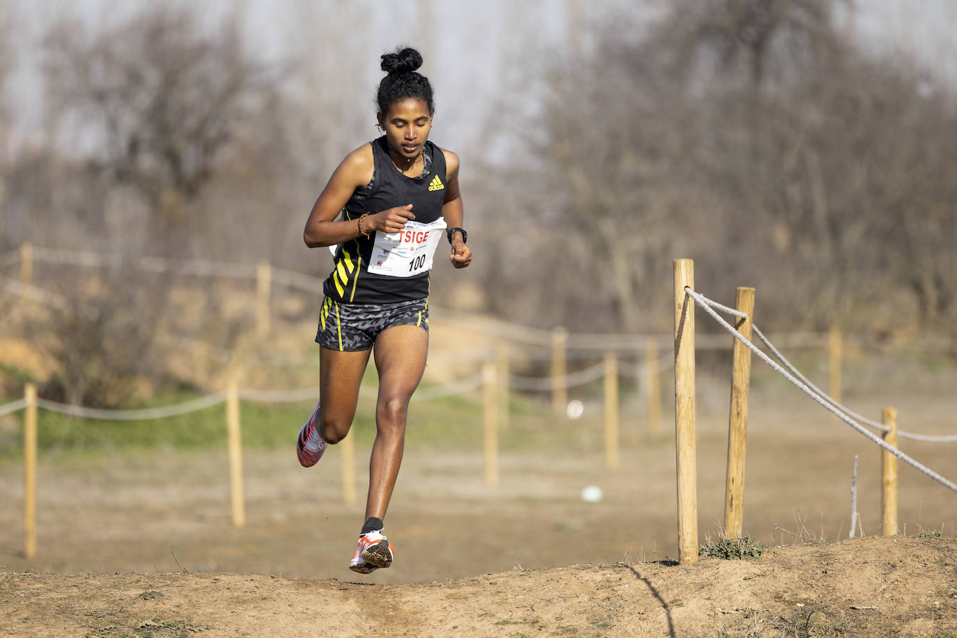 Fotos: Vuelve el Cross Internacional ciudad de Valladolid (2/2)