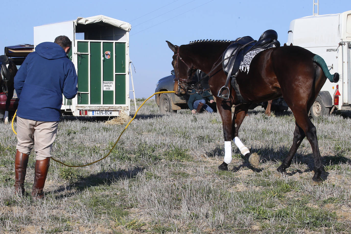 Fotos: Campeonato Nacional de Galgos en Medina del Campo