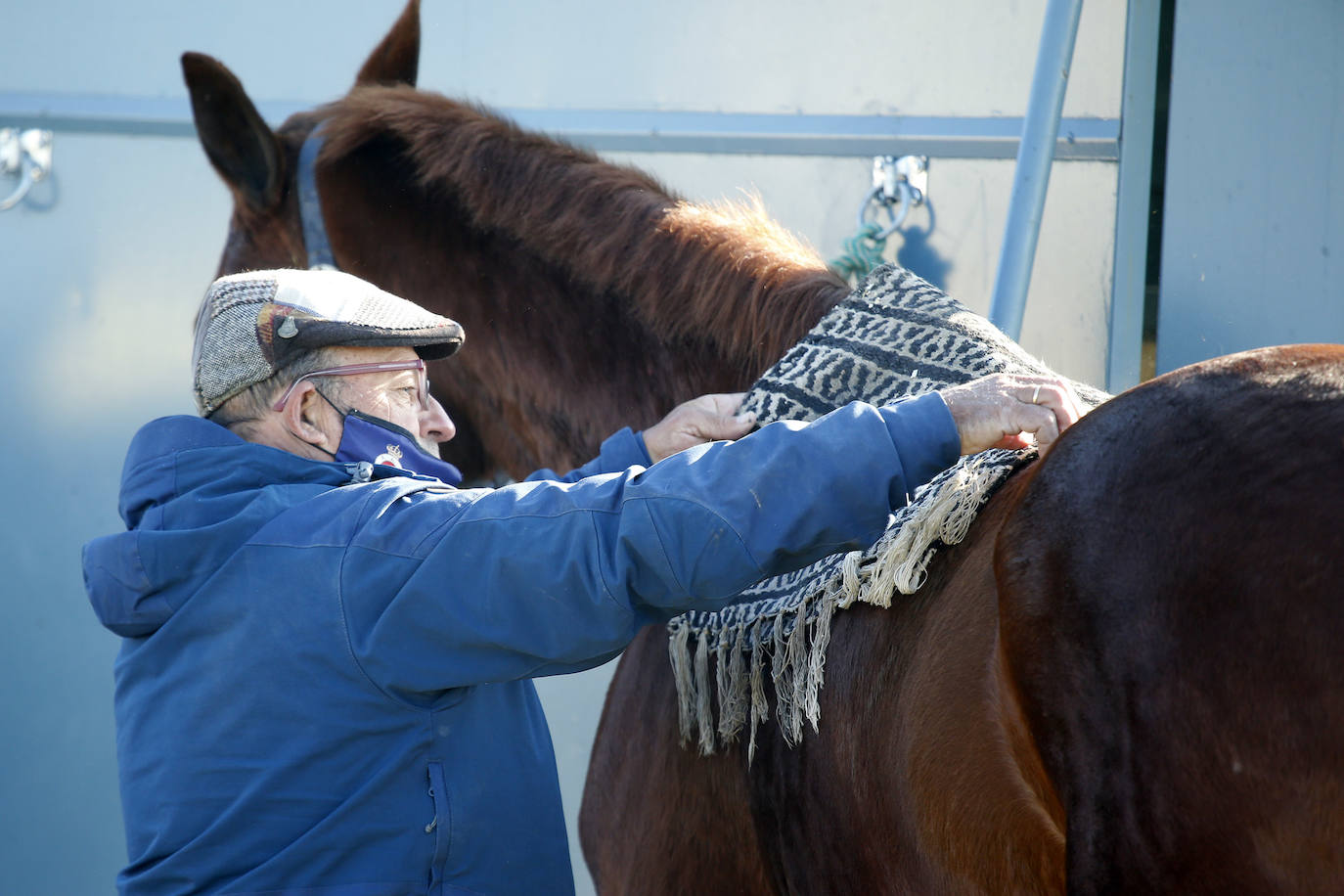 Fotos: Campeonato Nacional de Galgos en Medina del Campo