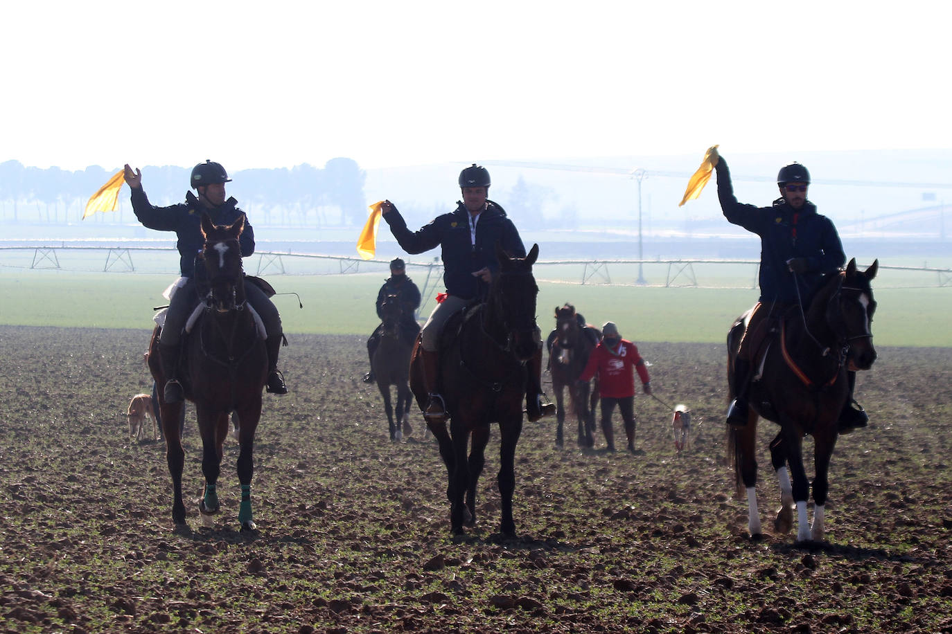 Fotos: Campeonato Nacional de Galgos en Medina del Campo