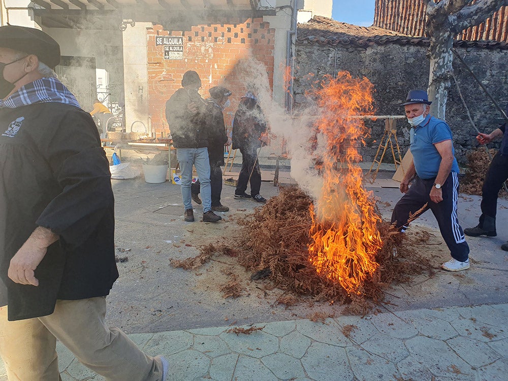 Linares de Riofrío y Las Casas del Conde celebran su tradicional matanza para disfrute de vecinos y visitantes 