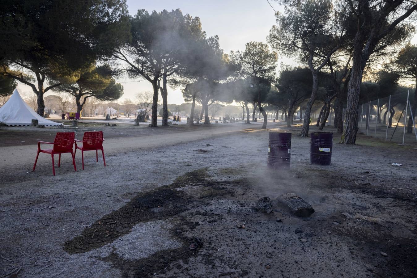 Fotos: Trabajos de limpieza de la antigua Hípica tras el paso de Pingüinos