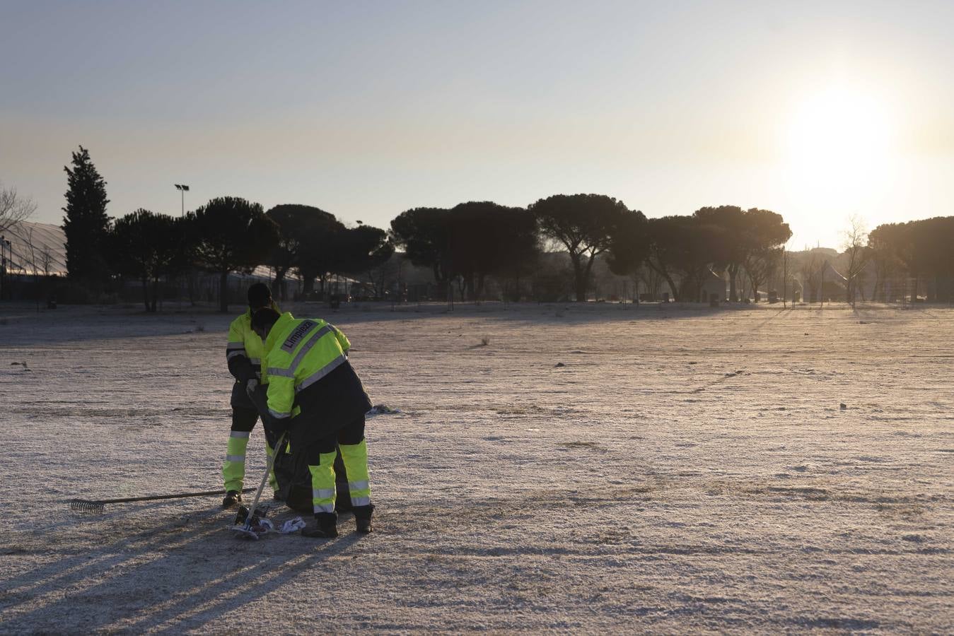 Fotos: Trabajos de limpieza de la antigua Hípica tras el paso de Pingüinos