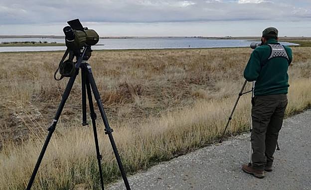 La Junta confirma un nuevo foco de gripe aviar en la laguna de la Nava de Palencia