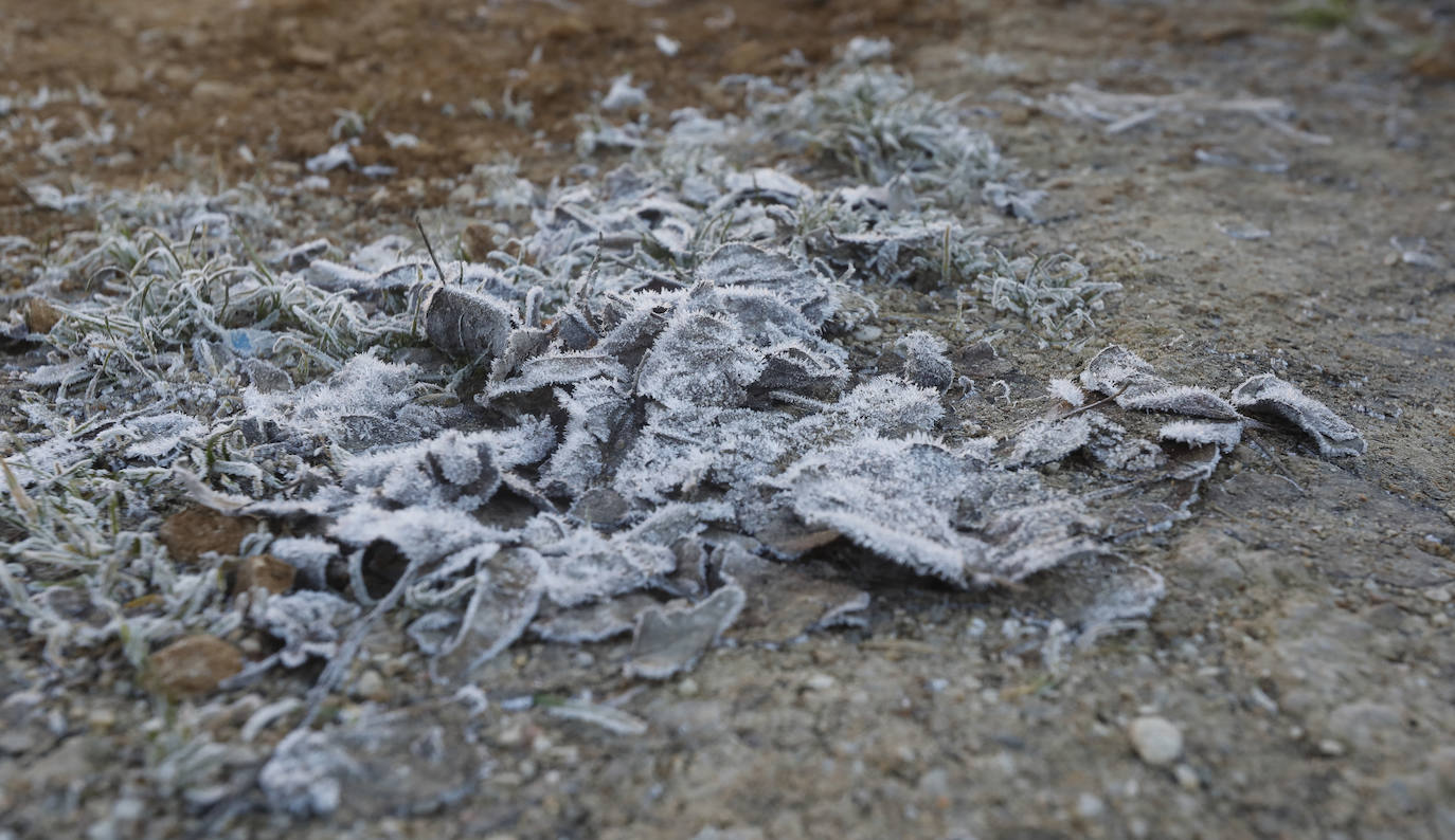 Fotos: Los termómetros caen en Palencia