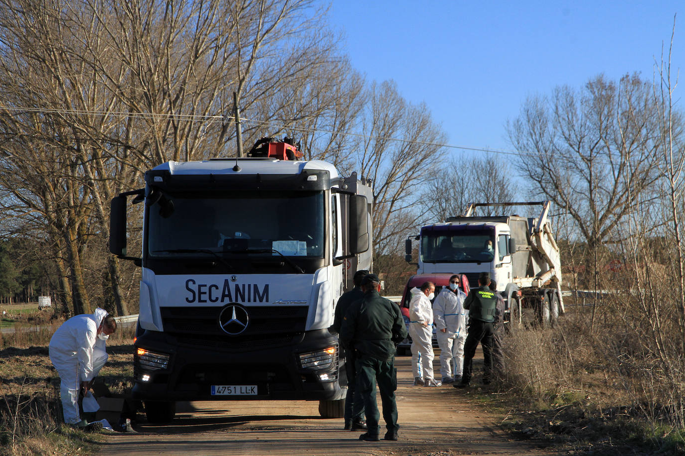 Camiones de una empresa especializada llegan a la granja de Fuenterrebollo para deshacerse de los cadáveres de los pavos. 