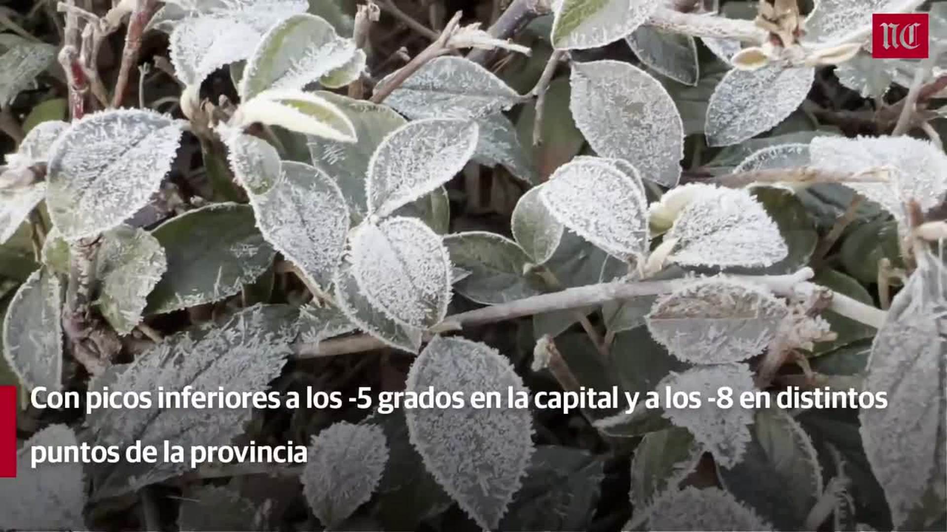 Heladas en Valladolid durante la madrugada de este martes