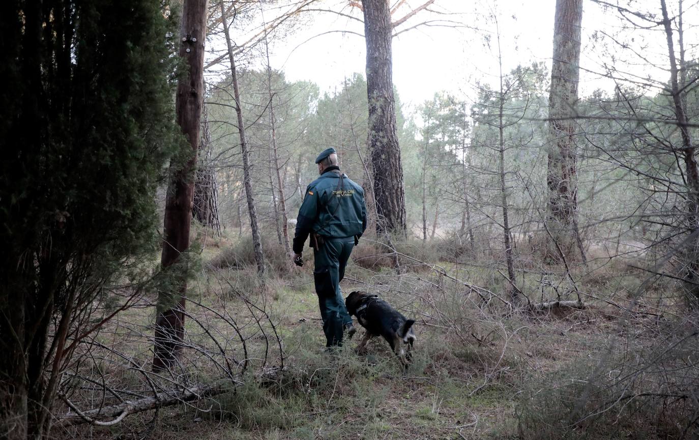 Fotos: Búsqueda con perros de la mujer desaparecida en Traspinedo