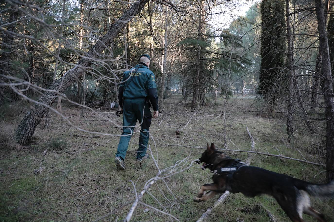 Fotos: Búsqueda con perros de la mujer desaparecida en Traspinedo