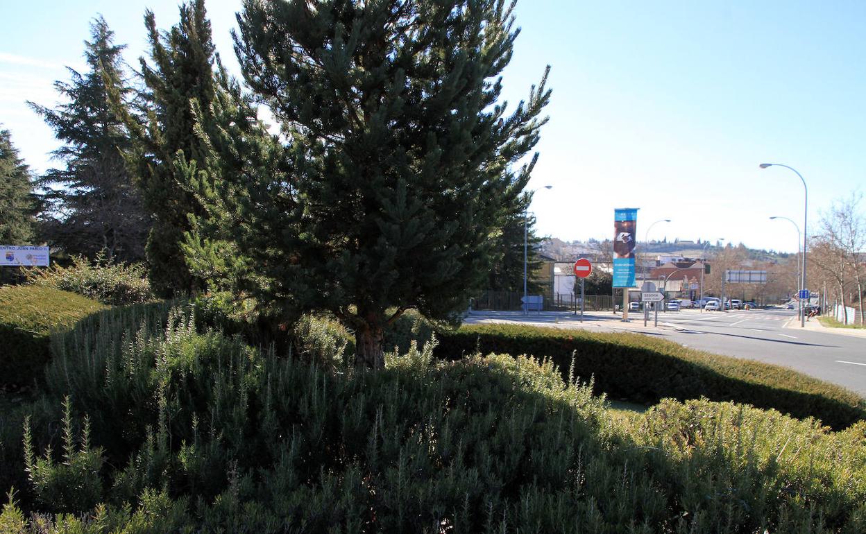 Zona verde de la rotonda entre Vía Roma y la carretera de Soria.