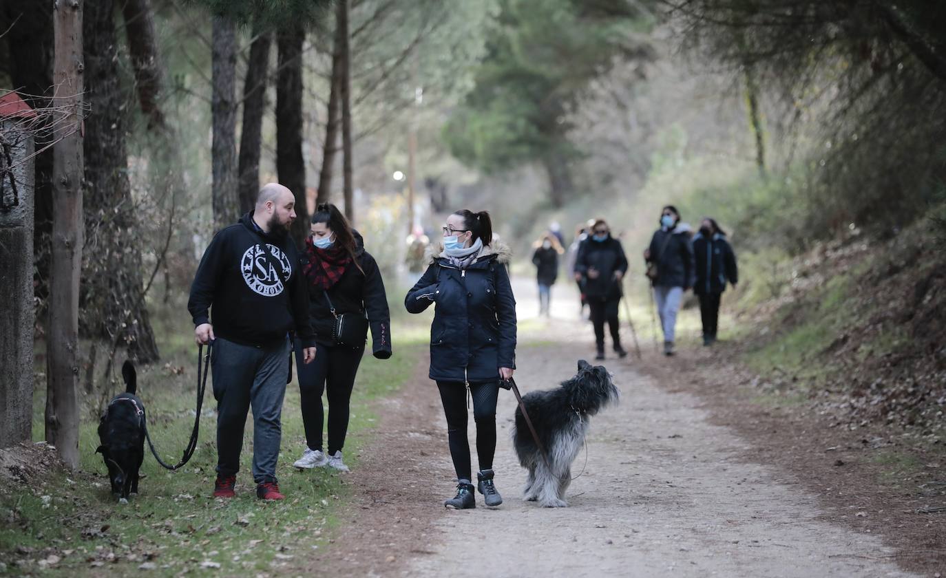 Los vecinos de Traspinedo buscan a Esther López. 