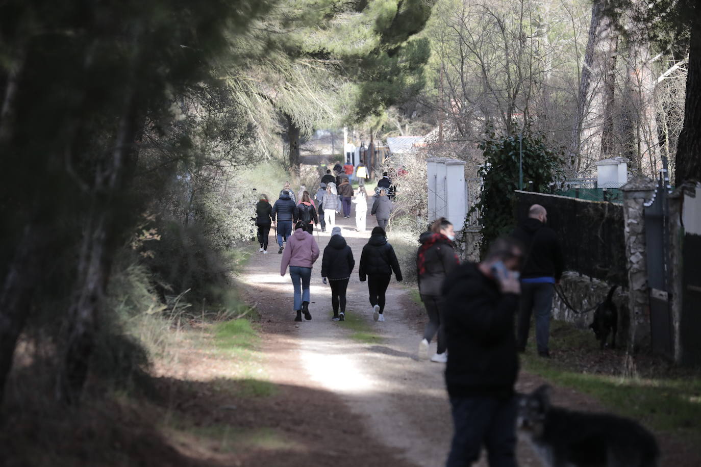 Los vecinos de Traspinedo buscan a Esther López. 