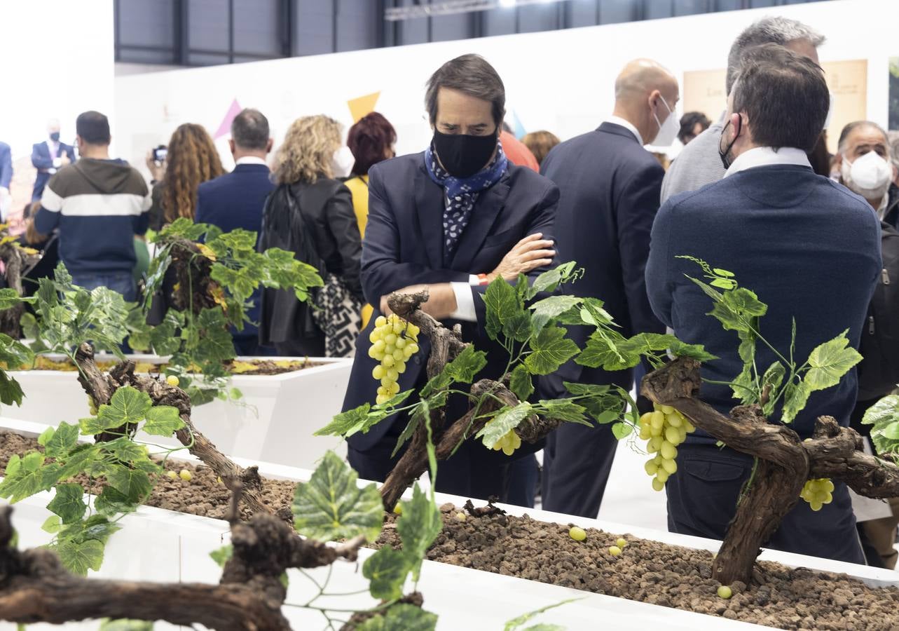 Fotos: Valladolid presenta su oferta turística en Fitur