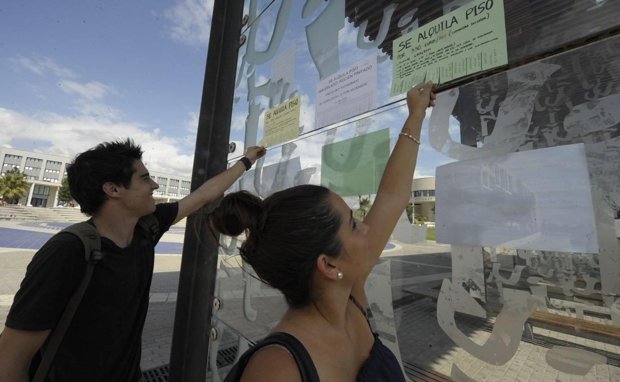 Dos jóvenes recaban información sobre pisos en alquiler de anuncios en una zona universitaria.