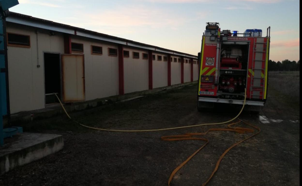 Los bomberos, ayer, en la granja avícola de Samboal.