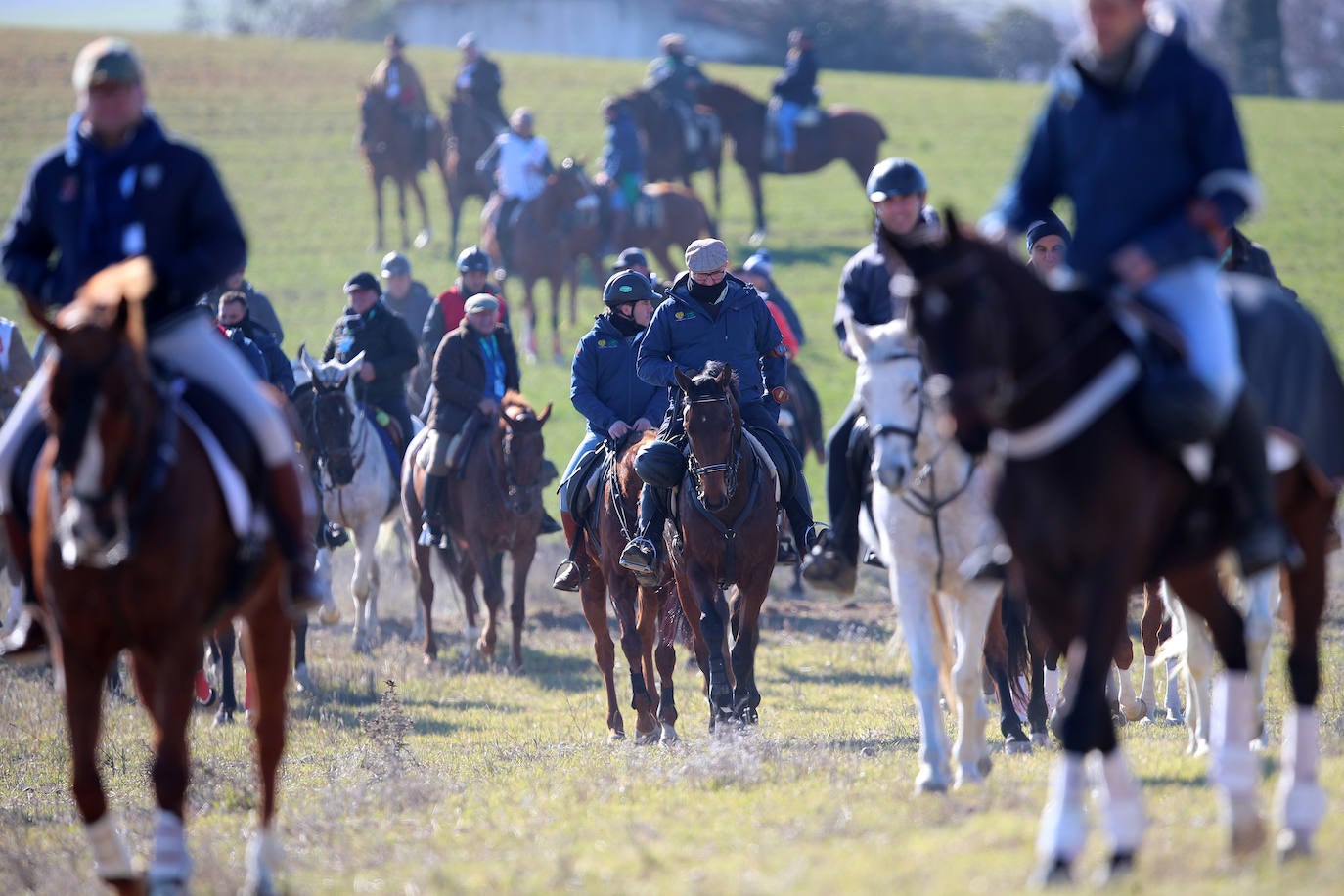 Primera jornada de cuartos de final del Campeonato Nacional de Galgos. 
