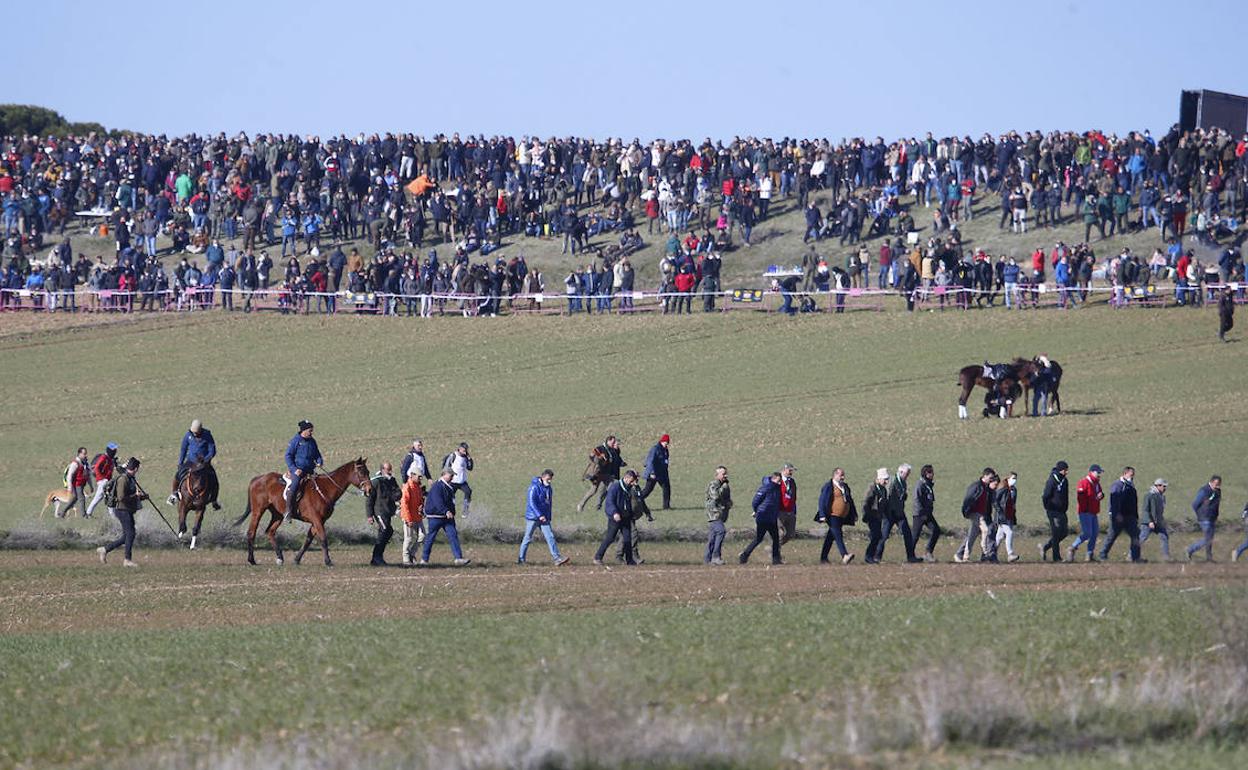 Nava del Rey celebra la competición. 