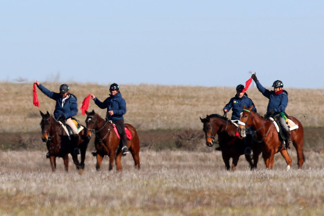 Segunda jornada de cuartos de final del Nacional de Galgos. 