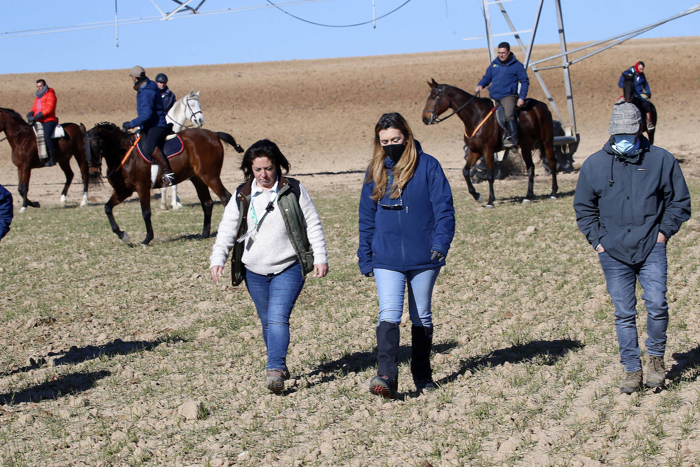 Segunda jornada de cuartos de final del Nacional de Galgos. 