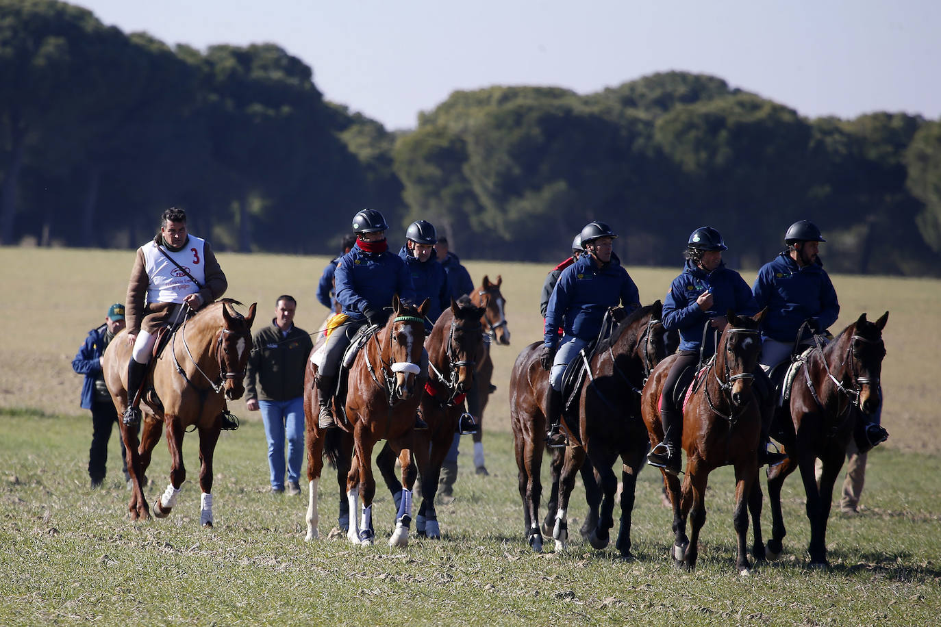 Segunda jornada de cuartos de final del Nacional de Galgos. 