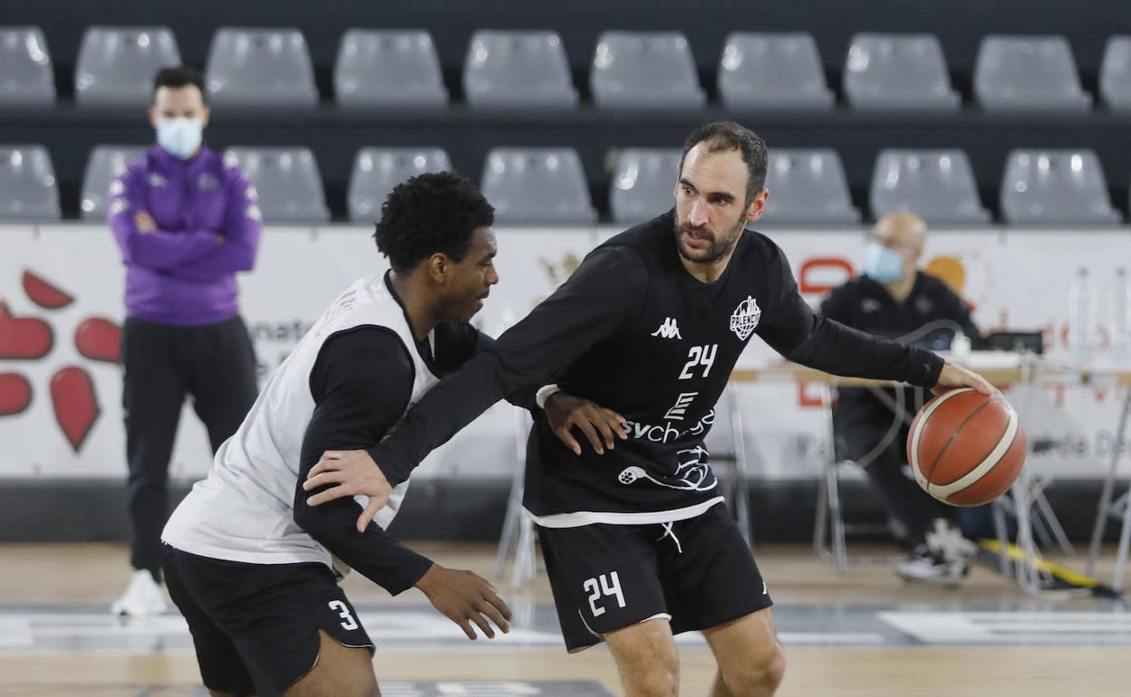 Aplazado el partido entre el Palencia Baloncesto y el Juaristi por  positivos en el conjunto vasco | El Norte de Castilla