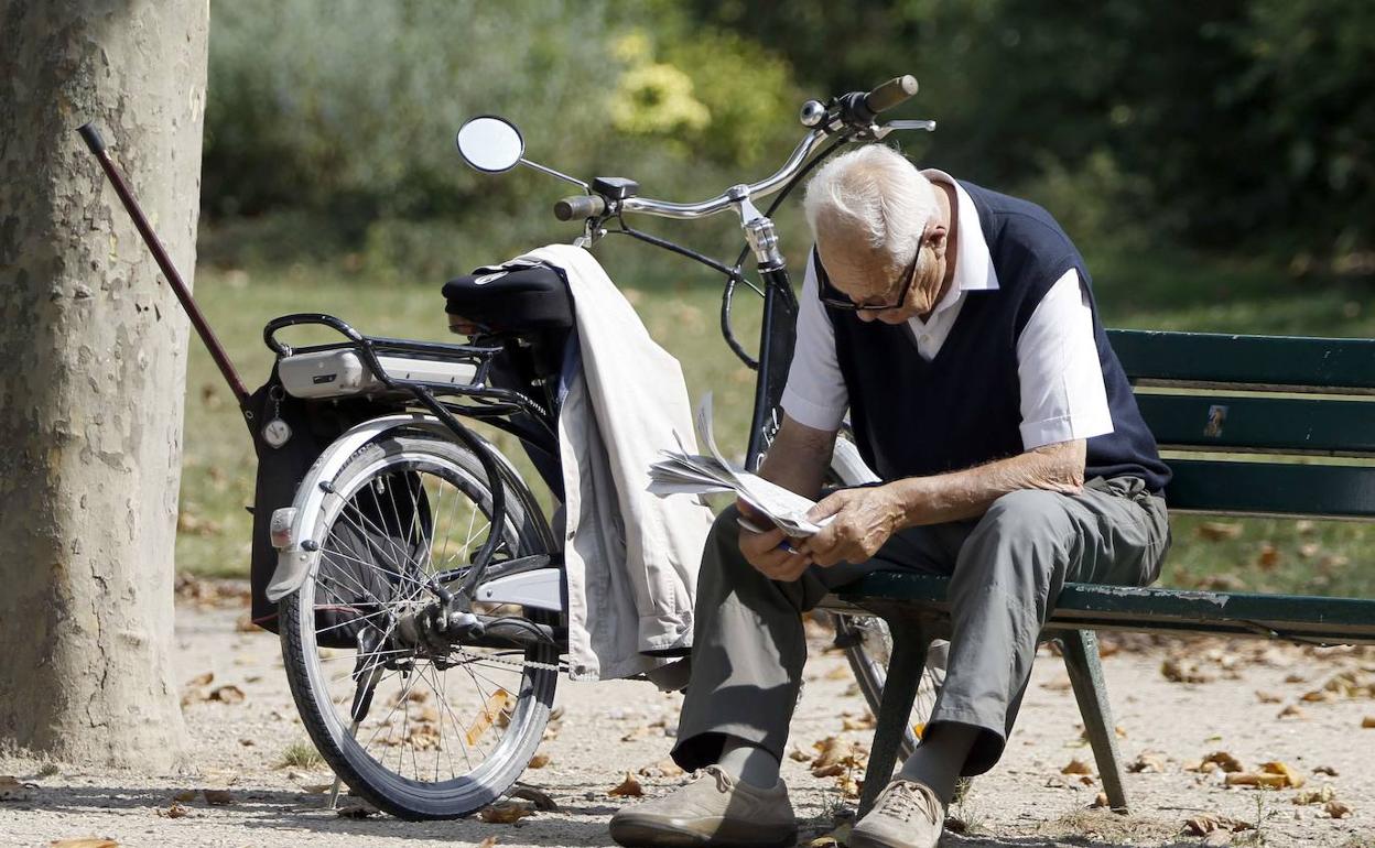 Un jubilado leyendo en un parque. 