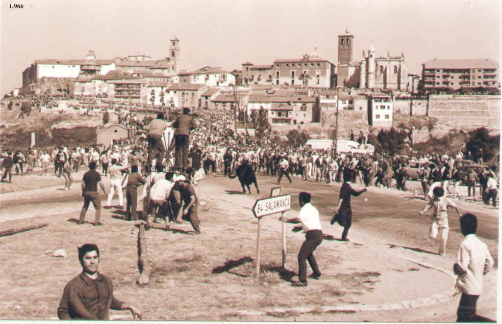 El Toro de la Vega de 1966.