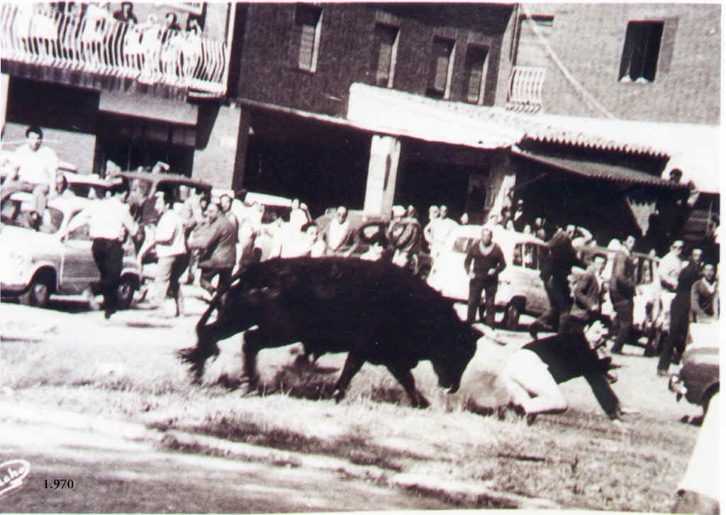 Espectacular cogida del Toro de la Vega en 1970.