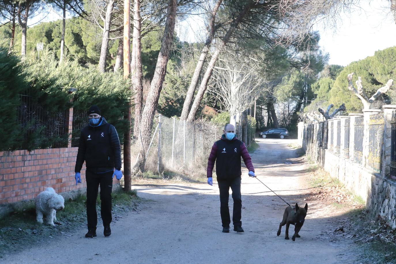 Fotos: La jornada de este martes en Traspinedo