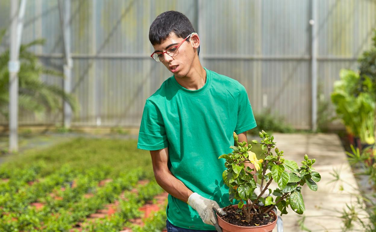 Uno de los trabajadores gracias al programa 'Incorpora'. 