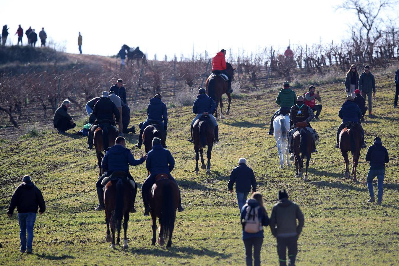 Fotos: Segunda jornada de semifinales del LXXXIV Campeonato de España de Galgos en Campo